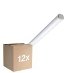 Multipack 12x Philips LED Waterproof Batten WT060C 30W 3600lm - 865 Daylight | 120cm