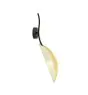 Emibig Wall Light Lotus Steel Black | Suitable for 1x E14 - Max 10W
