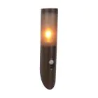 Eglo Wall Light Helsinki Stainless Steel Brown | IP55 - Suitable for 1x E27 - Motion Sensor